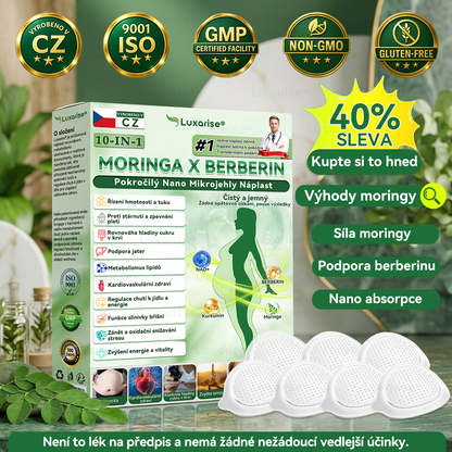 Oficiální obchod  |👩‍⚕️𝗟𝘂𝘅𝗮𝗿𝗶𝘀𝗲® MORINGA X BERBERIN  10-IN-1 Pokročilý Nano Mikrojehly Náplast(Jedna náplast denně, viditelné změny již za 7 dní) ✅ Pomáhá při obezitě, cukrovce, spánkové apnoe, problémech s klouby a dalších potížích💫